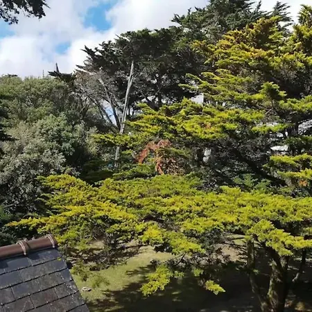 Ker Eon - Les De La Cote D'amour Apartamento Batz-sur-Mer